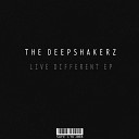 The Deepshakerz - Live Different Instrumental Mix