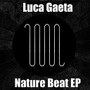 Luca Gaeta - Nature Original Mix