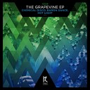 Chemical Disco Baron Dance - The Grapevine Original Mix