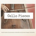 N rnberg Symphony Orchestra - Cello Concerto in B Minor Op 104 B 191 III Finale Allegro moderato Andante Allegro…