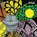 Dntel - Serious Robert Lippok s Black Tree Mix