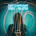 Chris Schambacher - Funky Original Mix