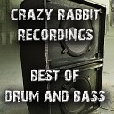 Dubversion DJ Purple Rabbit - Big Belly Man Dubversion vs DJ Purple Rabbit