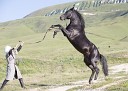 Идар Наурузов - Мой конь Музыка Юга ру