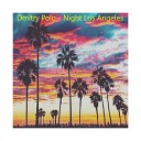 Dmitry Polo - Night Los Angeles