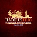 Loy Ehrlich Hadouk Trio Didier Malherbe - Train bleu des savanes Live
