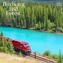 Nature Sound Band - Birds from Amazing Nature 2
