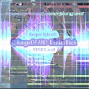 CJ KungurOF AND Кristian Black - Reaper Sylenth Remix 2018