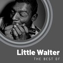 Little Walter - I Had My Fun