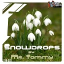 Mr Tommy - Snowdrop Original Mix