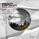 Nepemora Rhythm Box - Esporas Acidas Intro Mix