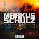 Markus Schulz - Avalon