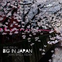 Ane Brun - Big In Japan Ivan Spell Radio Mix
