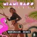 Miami Bass Society - Turn up the Bass Remix