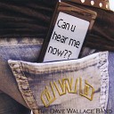 The Dave Wallace Band - Frailty