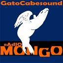 Gato Cabesound - Pe i