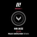 Mr Bizz - Faun Felix Krocher Remix