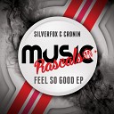 Silverfox Cronin - Hold It Dj Original Mix