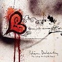 Peter Doherty - Through The Looking Glass