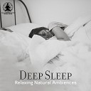 Relaxation Meditation Songs Divine - Deep Night Relaxation