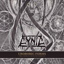 Cynic - A Life Astray