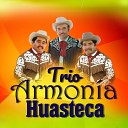 Trio Armonia Huasteca - El Florero