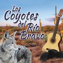 Los Coyotes del Rio Bravo - El Corton