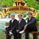 Trio Armonia Huasteca - La Ametralladora