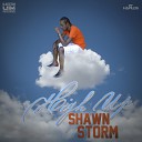 Shawn Storm - High Up Radio Edit