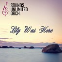 Sounds Unlimited Orchestra - Lily Was Here