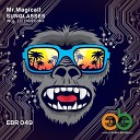 Mr magicall - Sunglasses Original Mix