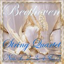 Armonie String Quartet - String Quartet No 4 in C Minor Op 18 I Allegro ma non…