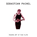 Sebastian Pachel - 16 Konzerte nach verschiedenen Meistern No 3 in D Minor BWV 974 II Adagio Arr for Pan…