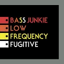 Bass Junkie - Everything