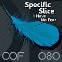 Specific Slice - I Have No Fear Damian Wasse Remix