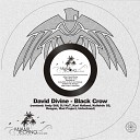 David Divine - Black Crow Reagan Remix