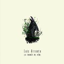 Luis Arronte - Piedras