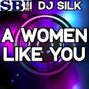DJ Silk - A Woman Like You Instrumental Version