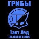 Грибы - Тает Лед AstroFox Remix