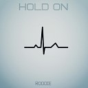 Roodi3 - Intro