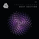Franz Johann - Beat Section Batusim Remix