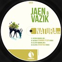 Jaen Vazik - Electra Touchtalk Remix