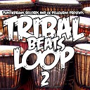 Ck Pellegrini - Tribal Beats Loop 2 Original Mix