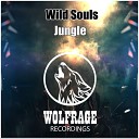 Wild Souls - Jungle Original Mix