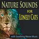 Pure Pianogonia - Ocean Waves for Cat Relaxation
