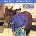 Dave Stamey - Cowboy Moon