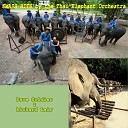 Thai Elephant Orchestra Dave Soldier Richard… - Rhapsody in Grey