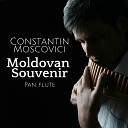 Constantin Moscovici - My Heart Will Go On