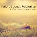 Nature White Noise for Relaxation and… - Self Care Spa Music