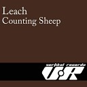 Leach - Releached